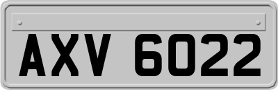 AXV6022