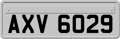 AXV6029