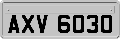 AXV6030