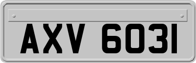 AXV6031