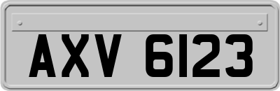 AXV6123