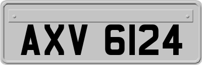AXV6124