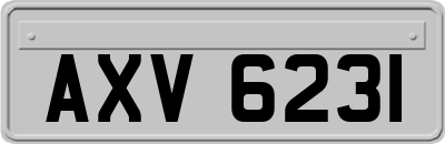 AXV6231