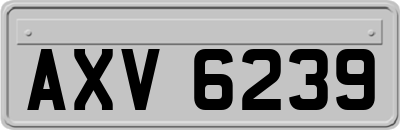 AXV6239