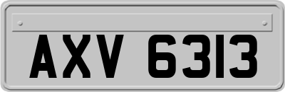 AXV6313