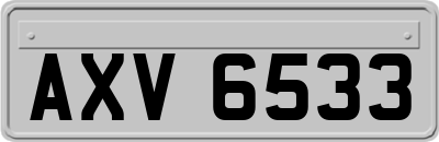 AXV6533