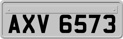 AXV6573