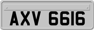 AXV6616