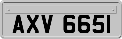 AXV6651