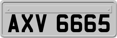 AXV6665