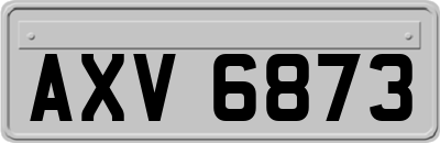 AXV6873