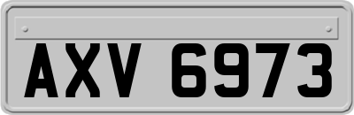 AXV6973