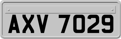 AXV7029