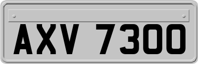 AXV7300