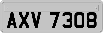 AXV7308