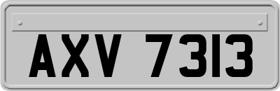 AXV7313