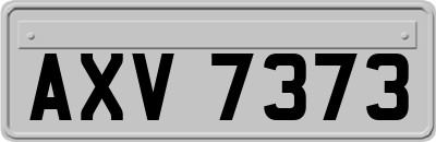 AXV7373