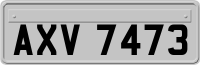 AXV7473
