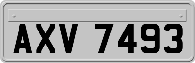 AXV7493