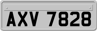 AXV7828