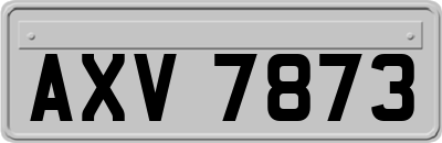 AXV7873