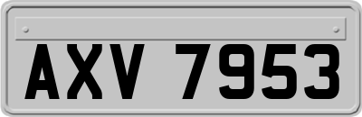 AXV7953