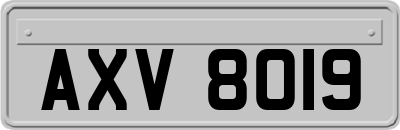 AXV8019