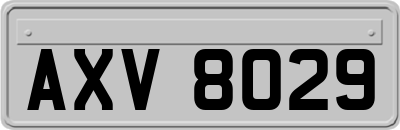 AXV8029