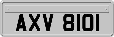 AXV8101