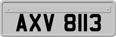 AXV8113