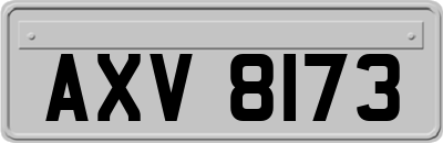 AXV8173