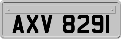 AXV8291