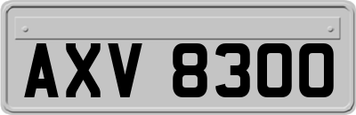 AXV8300
