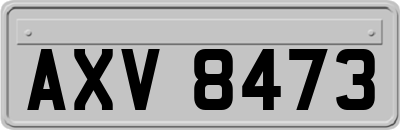 AXV8473