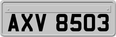 AXV8503