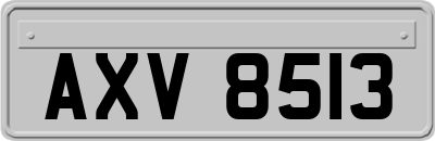 AXV8513