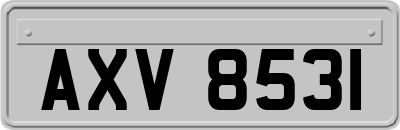 AXV8531