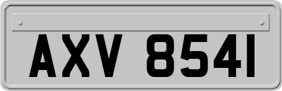 AXV8541