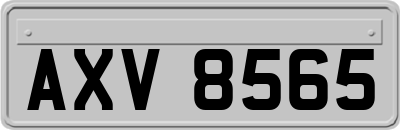 AXV8565