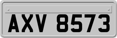 AXV8573