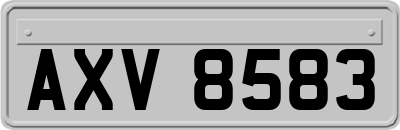 AXV8583