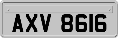 AXV8616