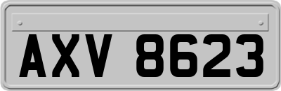 AXV8623