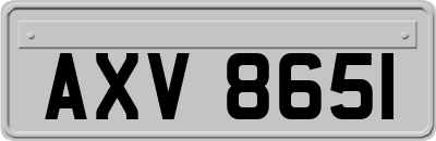 AXV8651