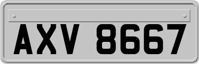 AXV8667