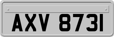 AXV8731