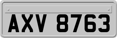AXV8763