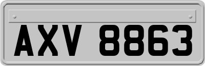 AXV8863