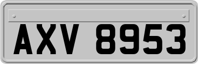 AXV8953