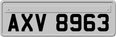 AXV8963